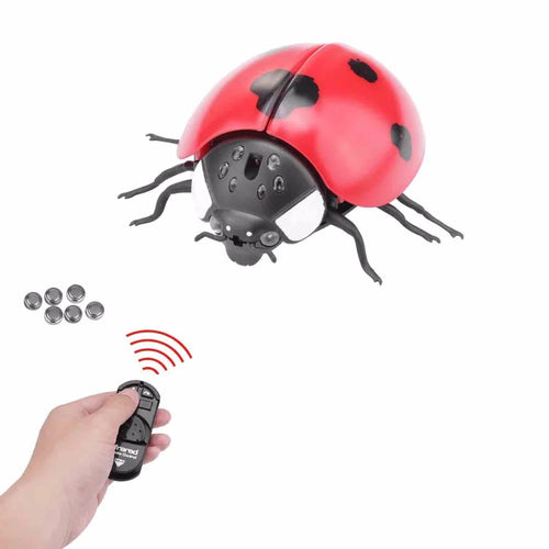 Trick Electric Cockroach Pet RC Simulation Spider Robotic Remote